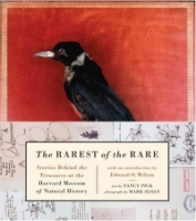The Rarest of the Rare : Stories Behind the Treasures at the Harvard Museum of Natural History артикул 592d.